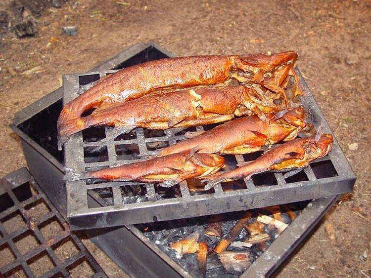 Шкаф для горячего копчения рыбы