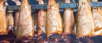 Холодное копчение рыбы: основные сведения, подготовка рыбы